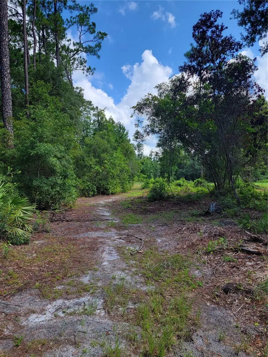 0 SE 464c Highway, Ocklawaha, FL 32179 - #3