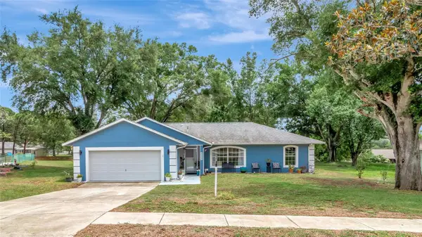 12500 Draw Drive, GRAND ISLAND, FL 32735