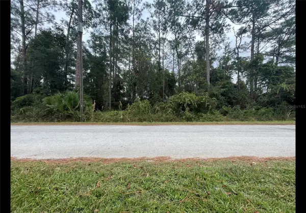 Cr 173e, WILDWOOD, FL 34785