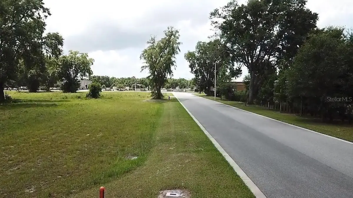 1080 Duck Box Road, Umatilla, FL 32784 - #1