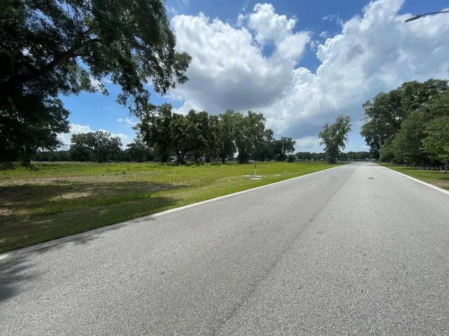 1080 Duck Box Road, Umatilla, FL 32784 - #3
