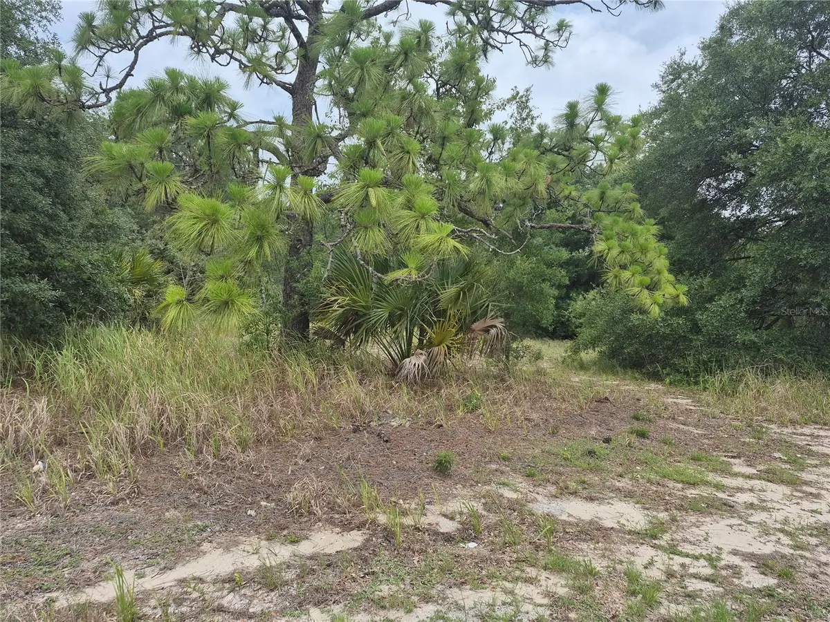 1626 S Us 301, Sumterville, FL 33585 - #1