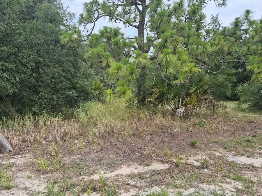 1626 S Us 301, Sumterville, FL 33585 - #2