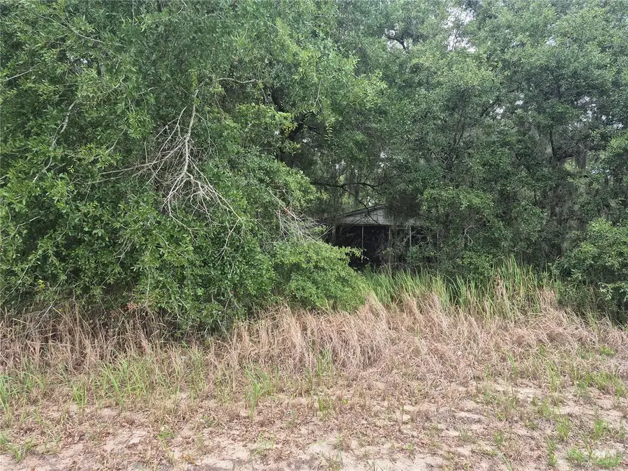 1626 S Us 301, Sumterville, FL 33585 - #3