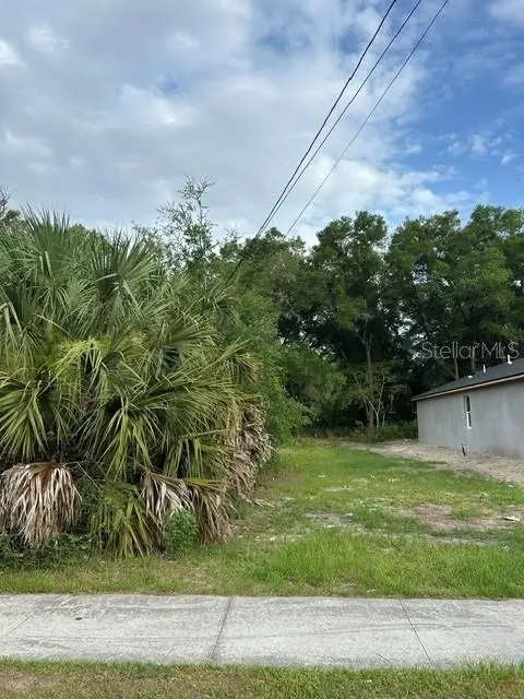 Palmetto Street, Eustis, FL 32726 - #1