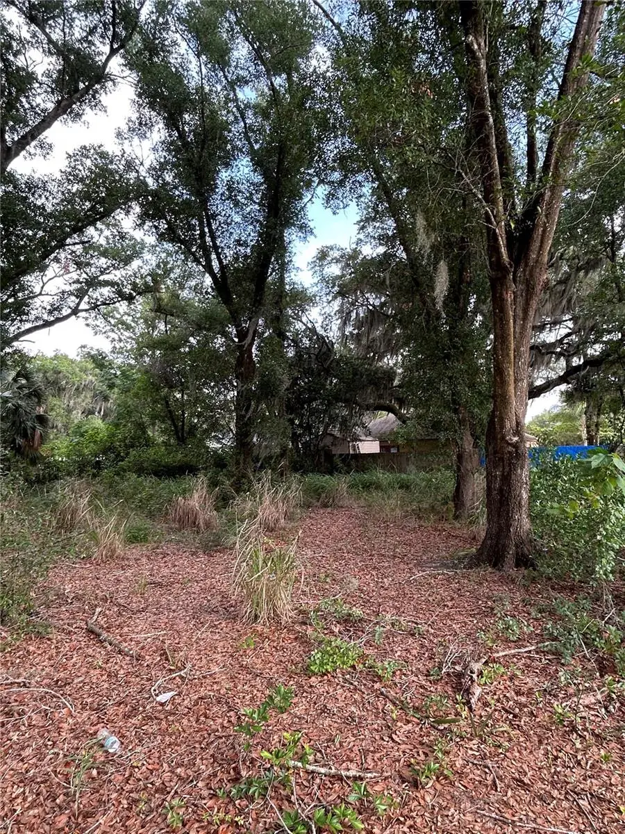 Palmetto Street, Eustis, FL 32726 - #3