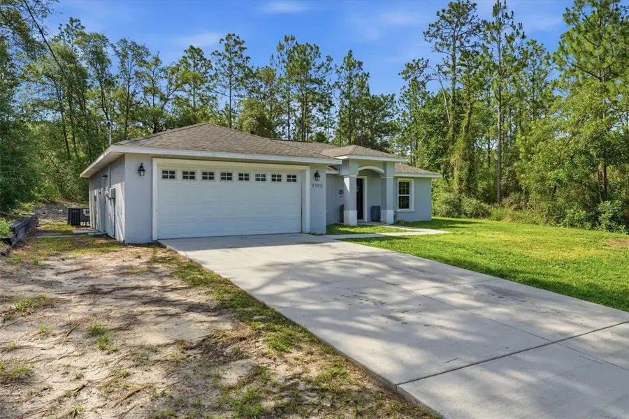 9195 N Saponaria Drive, Citrus Springs, FL 34433 - #2