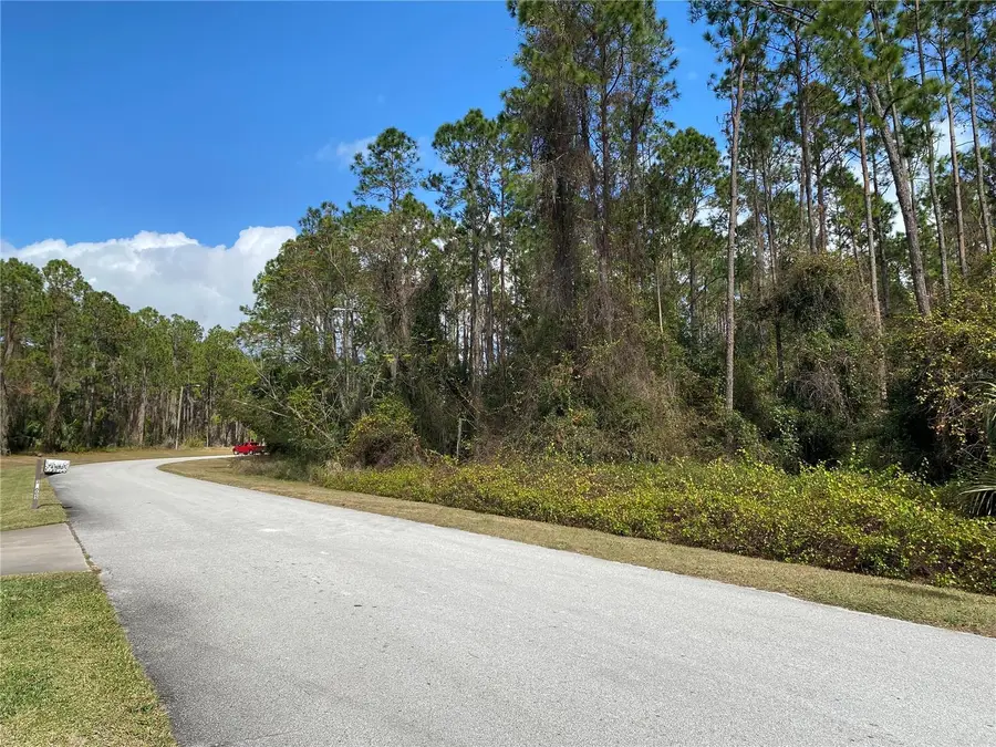 31004 Secretariat Trail, Leesburg, FL 34748 - #2