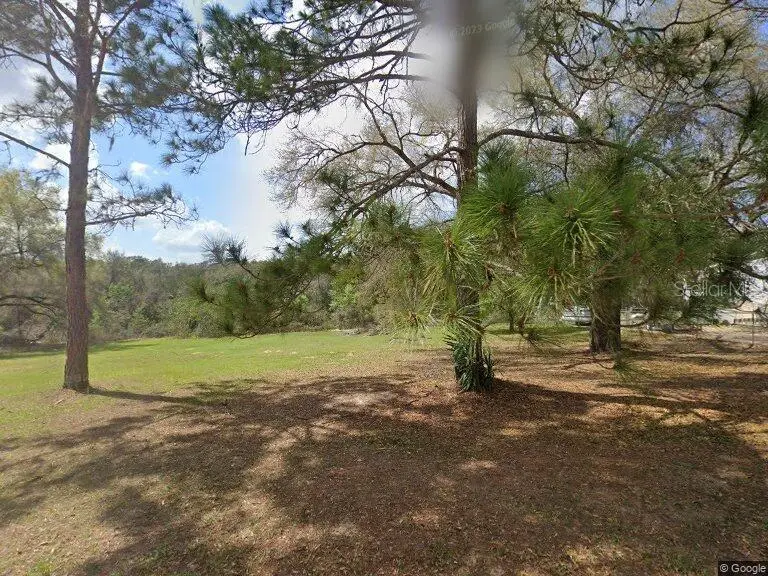 17100 SE 251st Terrace, Umatilla, FL 32784 - #1