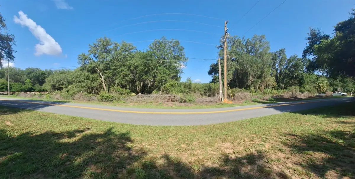 41739 Thomas Boat Landing Road, Umatilla, FL 32784 - #1