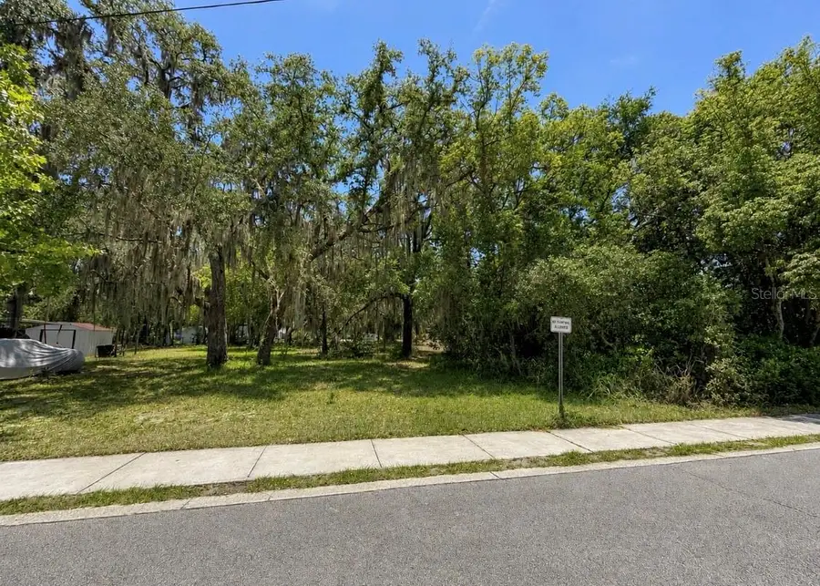 711 Pine, Mount Dora, FL 32757 - #3