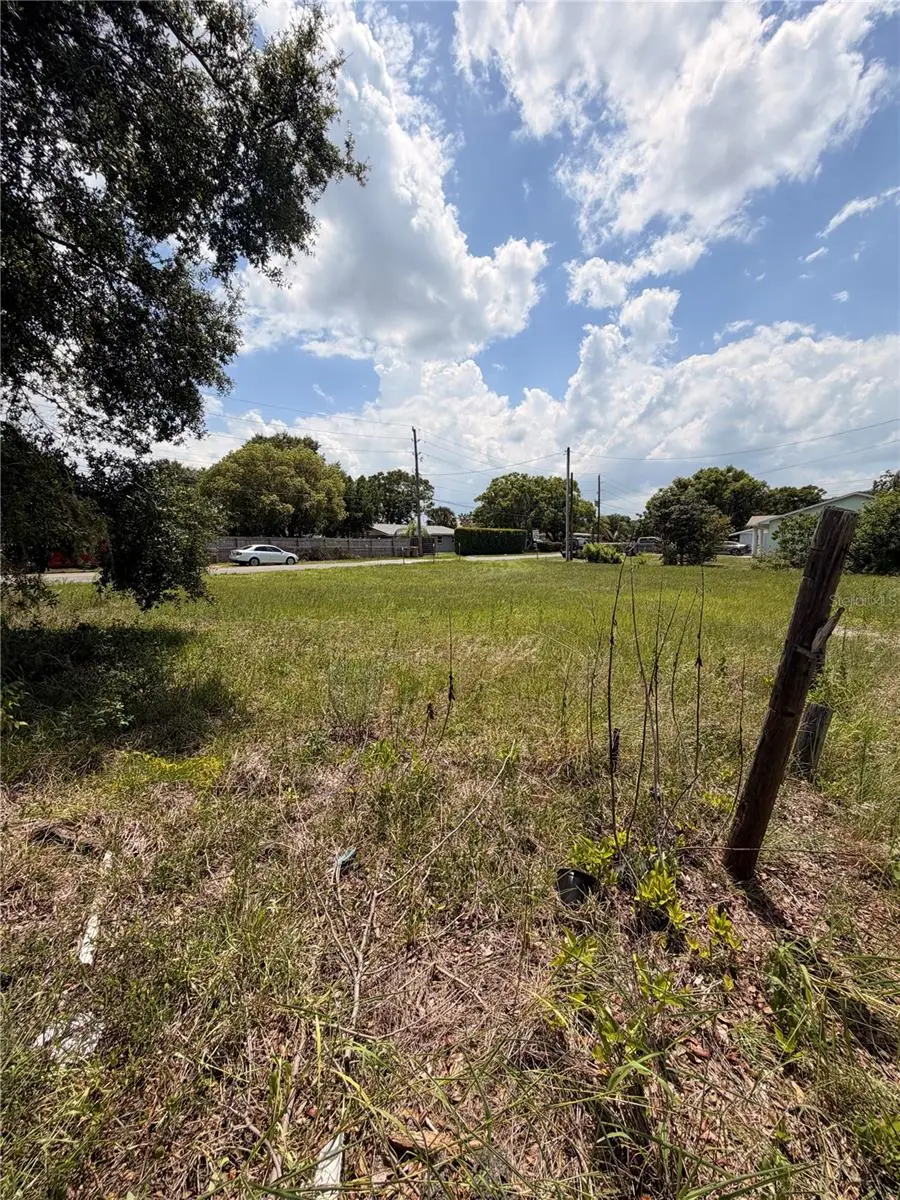 Highway 561 Highway, Tavares, FL 32778 - #1