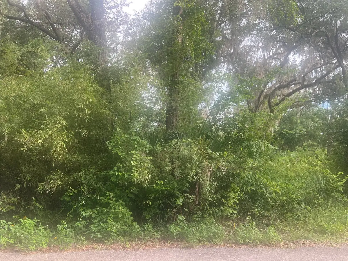 NE 32nd Street, Silver Springs, FL 34488 - #1