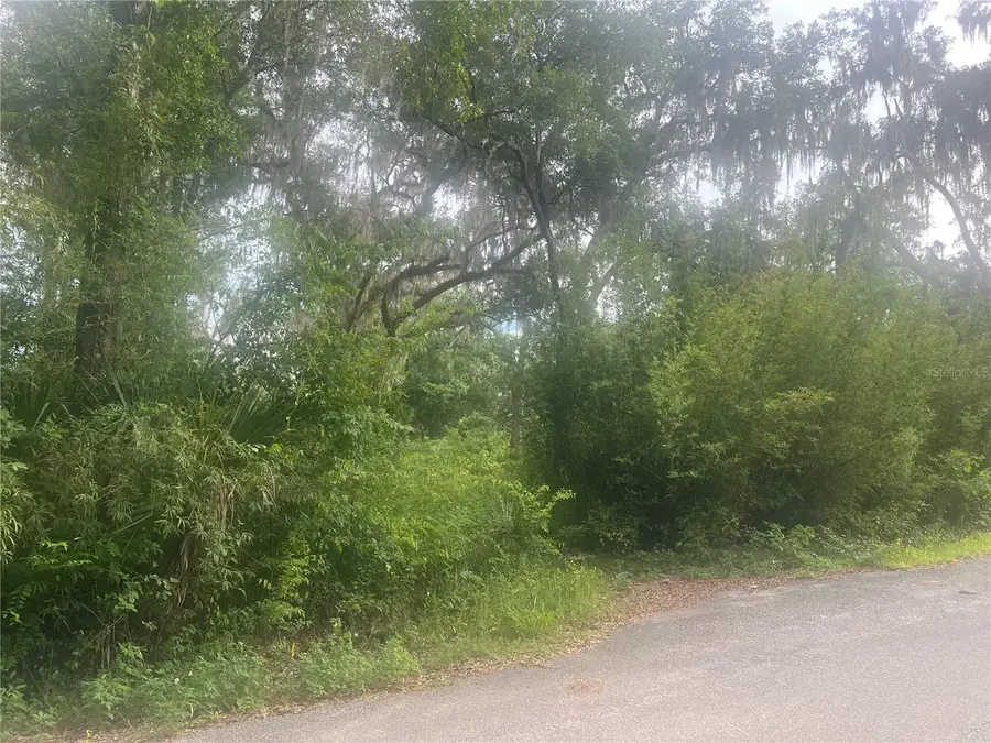 NE 32nd Street, Silver Springs, FL 34488 - #3
