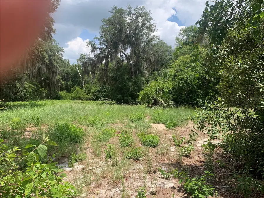 3113 Bright Lake Circle, Groveland, FL 34736 - #2