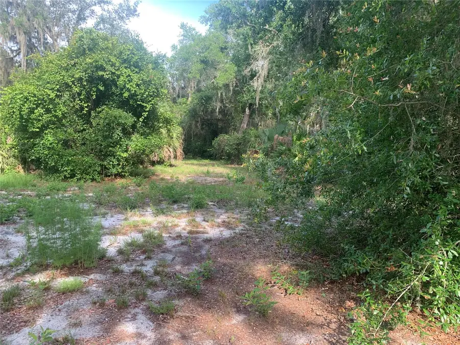 3113 Bright Lake Circle, Groveland, FL 34736 - #3