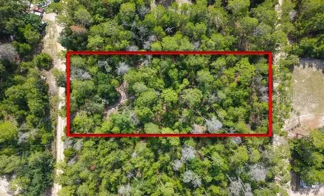 Berry Street, Paisley, FL 32767 - #1