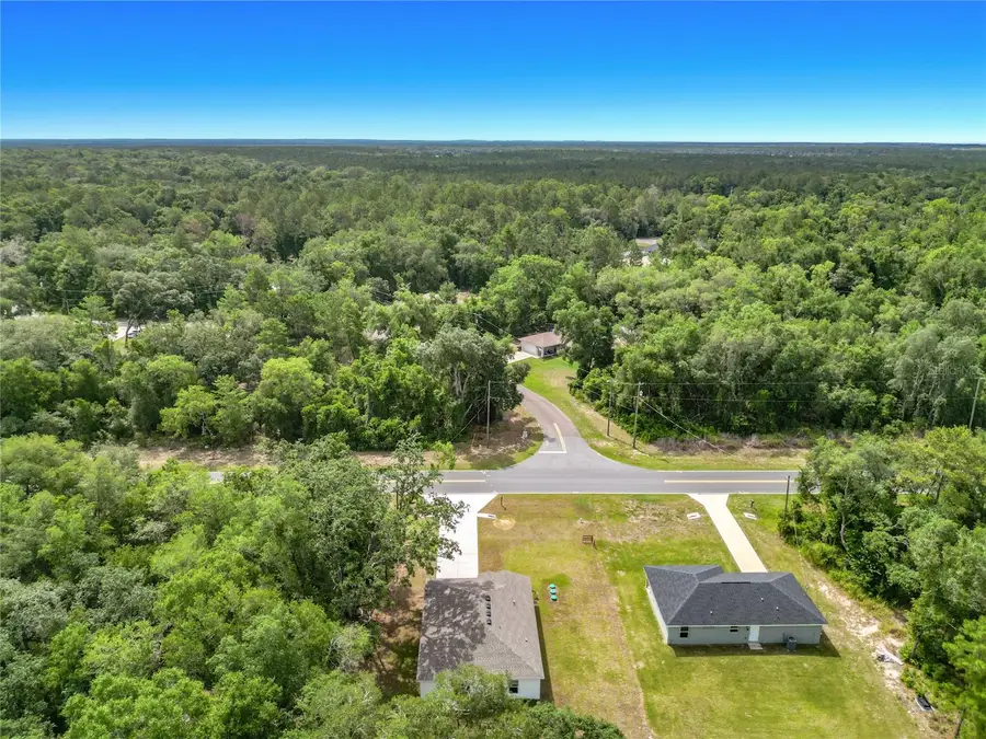 50 Bay Road, Ocklawaha, FL 32179 - #3