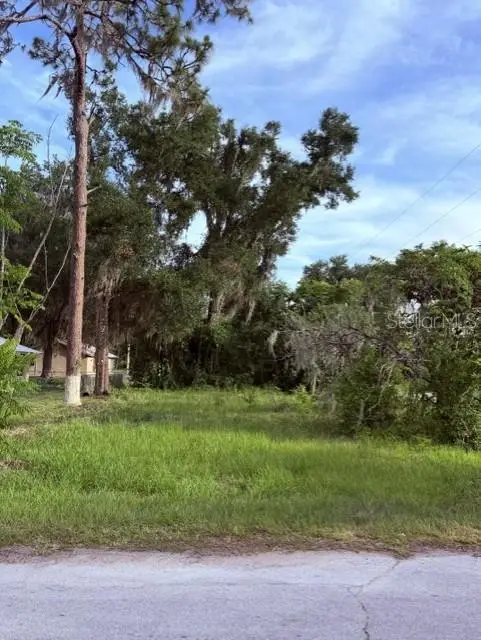 Cr 604, Bushnell, FL 33513 - #3