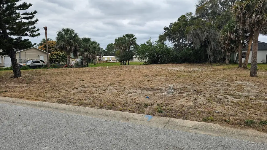 209 W Badger Avenue, Eustis, FL 32726 - #2