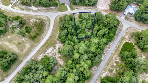 Willmington Drive, OCALA, FL 34473