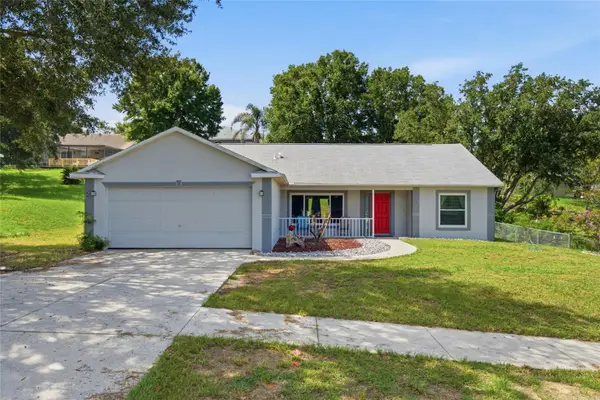 993 Scenic View Circle, MINNEOLA, FL 34715