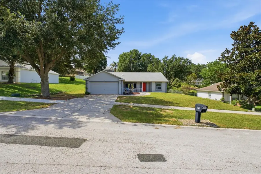 993 Scenic View Circle, Minneola, FL 34715 - #2