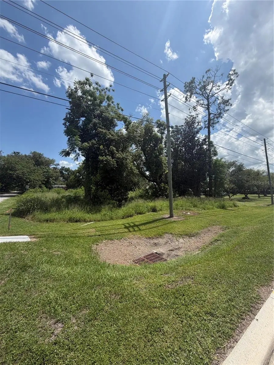 14435 Oak Street, Groveland, FL 34736 - #1