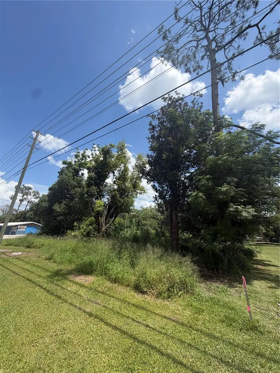 14435 Oak Street, Groveland, FL 34736 - #3