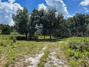 Laurel Oak Avenue, Mims, FL 32754 - #1