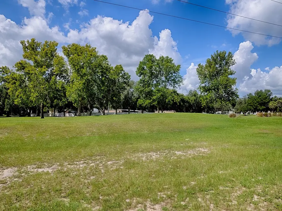 4438 River Ridge Drive, Leesburg, FL 34748 - #3