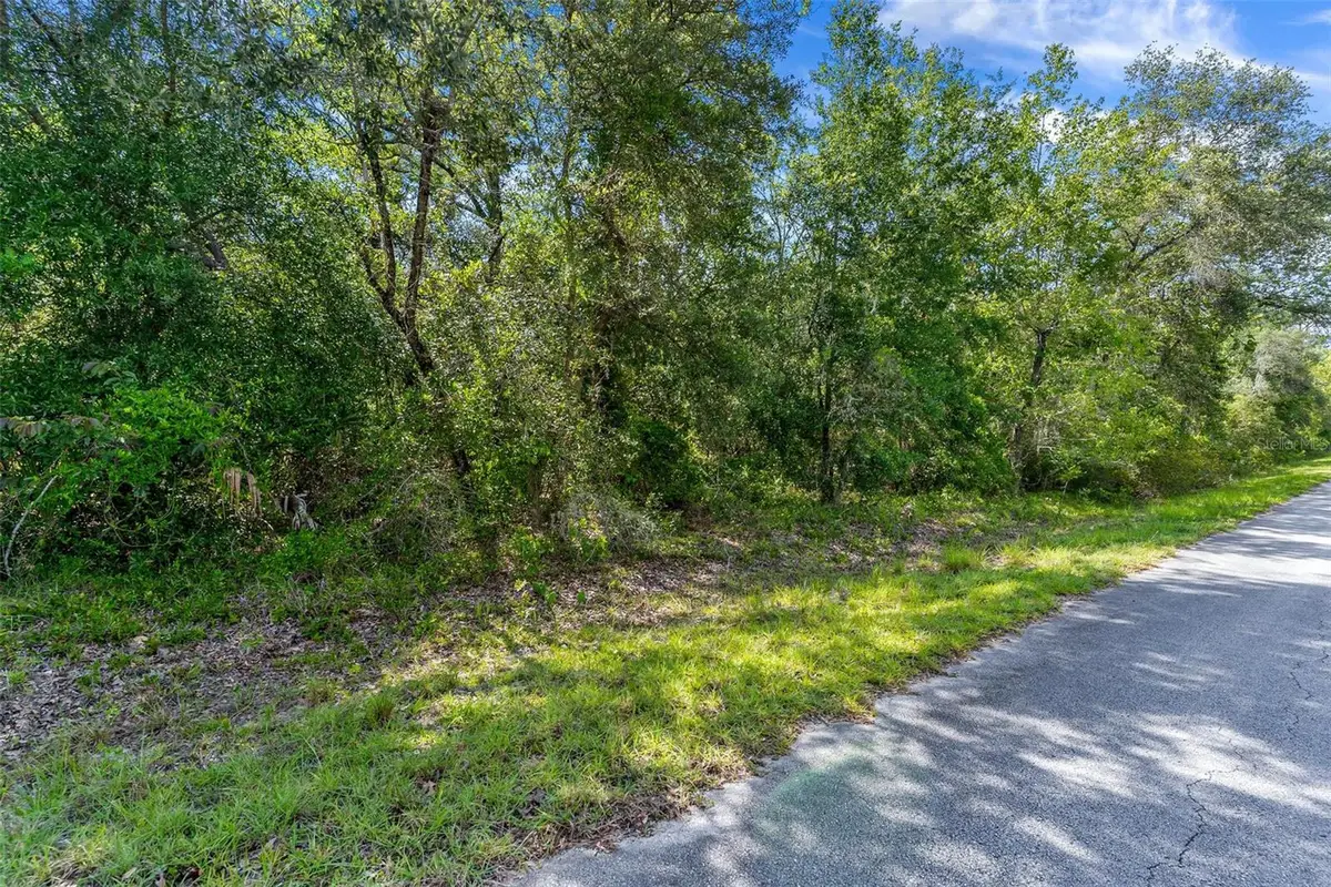 SW Shasta Court, Dunnellon, FL 34431 - #1