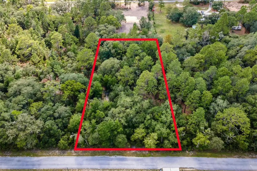 SW Shasta Court, Dunnellon, FL 34431 - #3