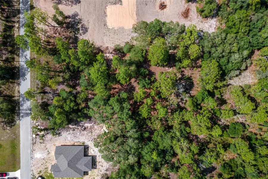 SW Viola Court, Dunnellon, FL 34431 - #3