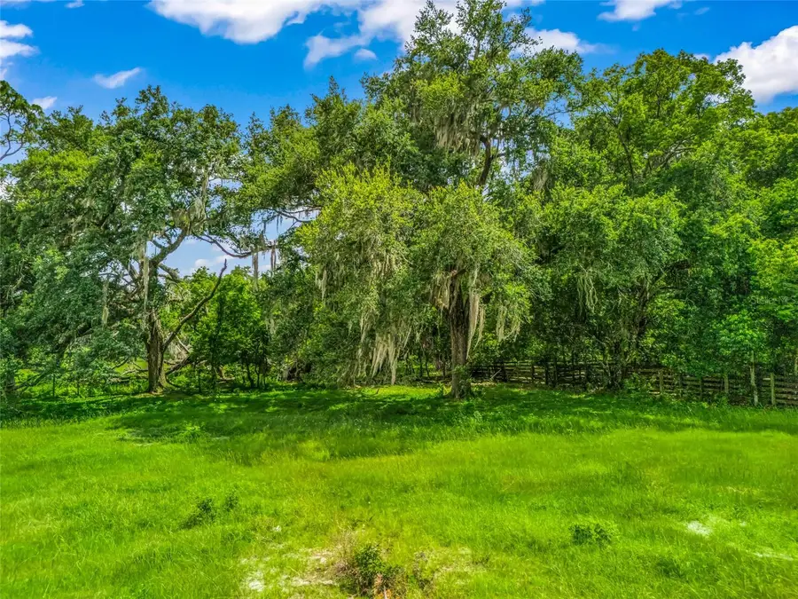 0000 Cr 738 Unassigned, Webster, FL 33597 - #3