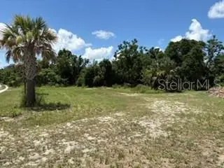 801 S Dixie Avenue #A, FRUITLAND PARK, FL 34731