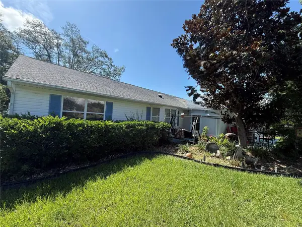 1117 Ben Hope Drive, LEESBURG, FL 34788