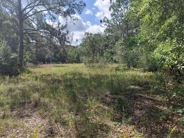 Pinon Drive, WEBSTER, FL 33597