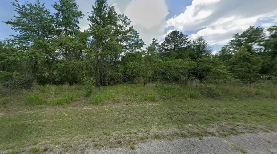 7813 N Cedro Road, Dunnellon, FL 34434 - #2