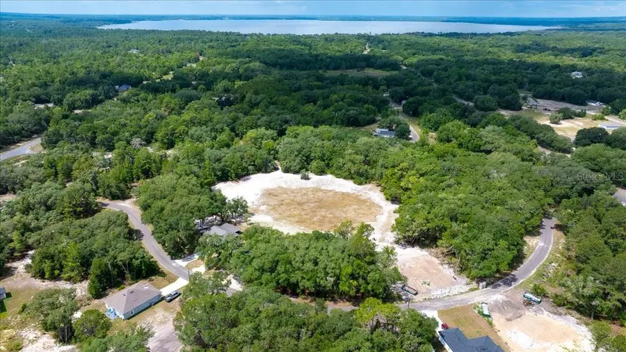 Fisher Lane Court, Ocklawaha, FL 32179 - #3