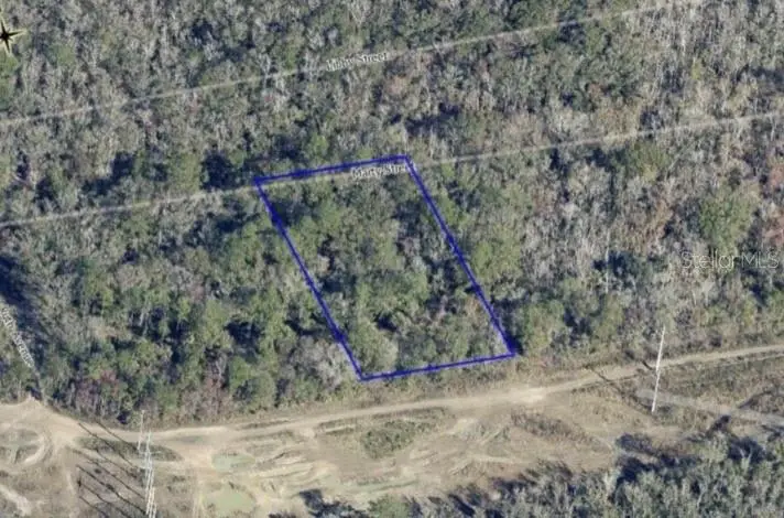 Tbd #Lot 38, Hastings, FL 32145 - #2