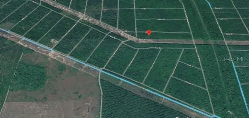 Tbd #Lot 38, Hastings, FL 32145 - #3