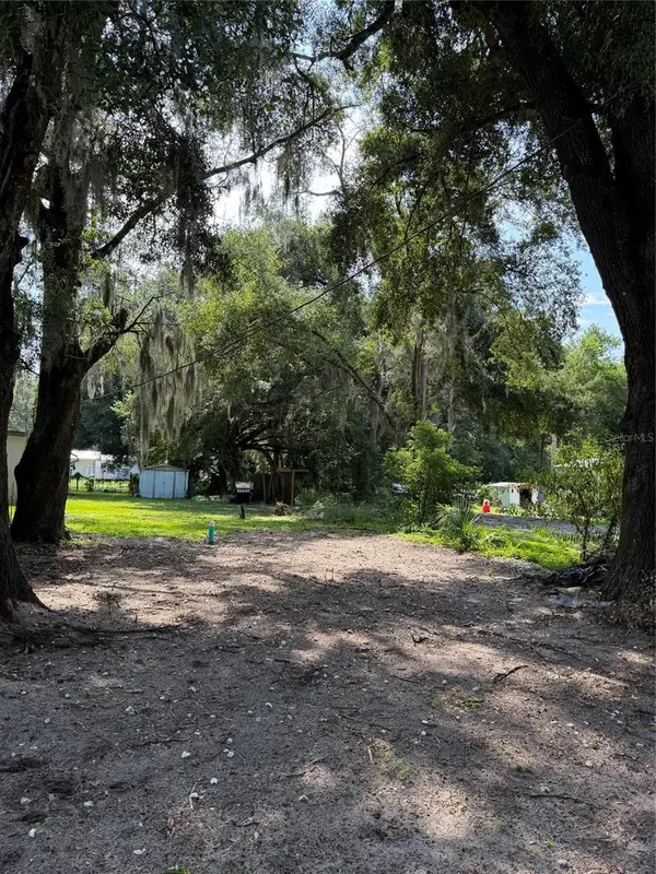 Cr 491w, LAKE PANASOFFKEE, FL 33538