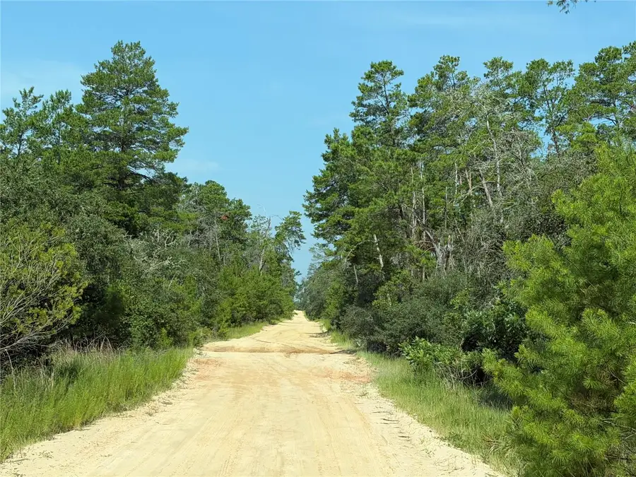 0 SE 150th Forest 02, #3, Se 150th Street, Umatilla, FL 32784 - #3
