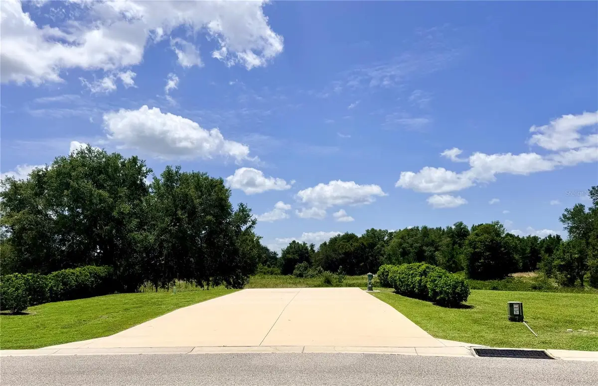 4879 SE 92nd Boulevard, Webster, FL 33597 - #1