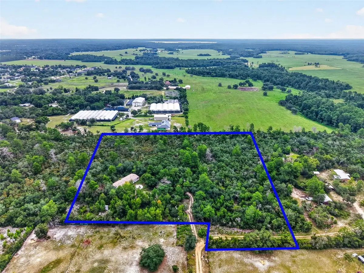 20241 Saltsdale Road, Umatilla, FL 32784 - #1