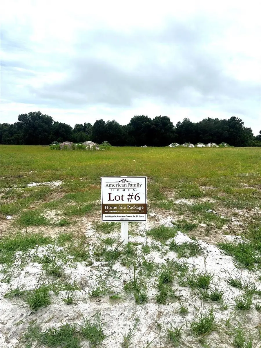 38797 Ranch Gate Boulevard, Umatilla, FL 32784 - #3