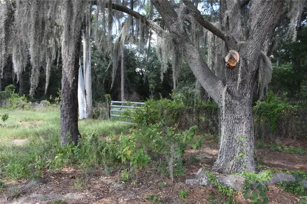 31328 Sand Lake Drive, MOUNT DORA, FL 32757