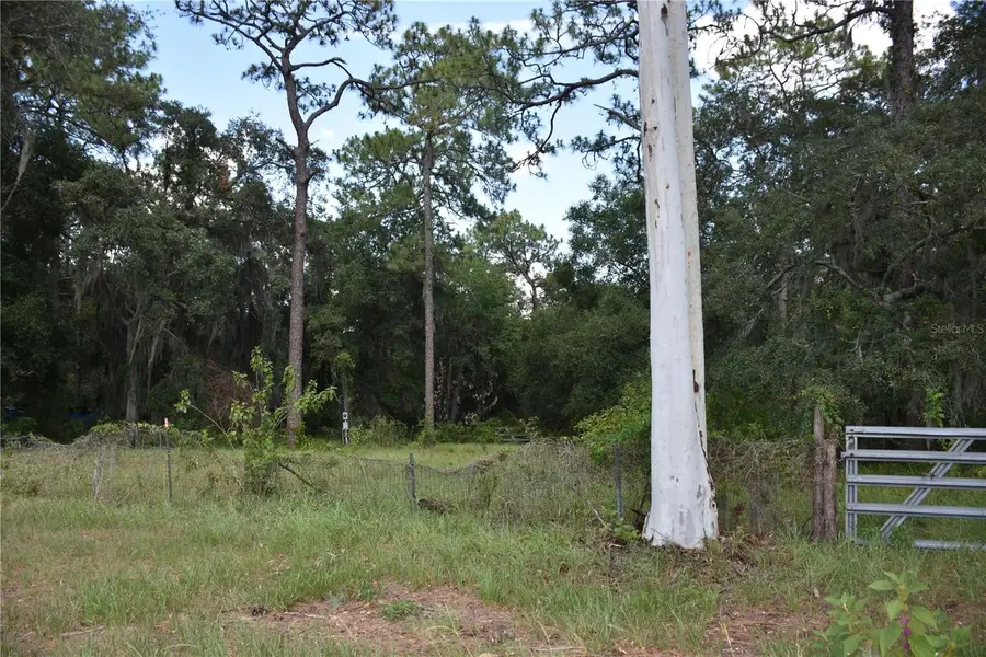 31328 Sand Lake Drive, Mount Dora, FL 32757 - #3