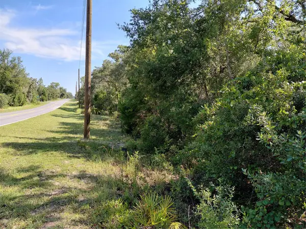 Wheystone Drive, WEBSTER, FL 33597